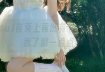 首页上竟然有个心得，166.su我了解一点点！
