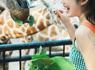 从未见过如此‘精彩’的时刻，51cg4视频带你眼前一亮！