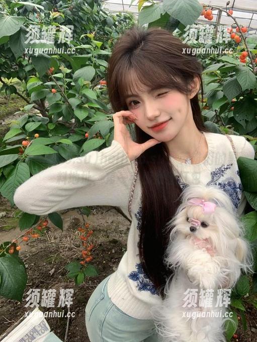 heiliao.su：英雄们的黑料地址，第一手瓜便宜打包