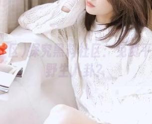 探究黑料社区：免费平台如何野生八卦？
