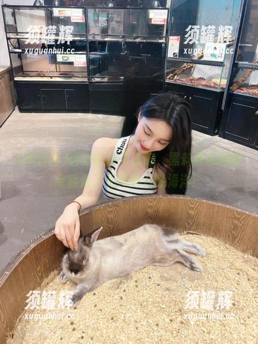 黑料网 说好的永不迷路,黑料网官网却带我进了无尽的八卦海洋!